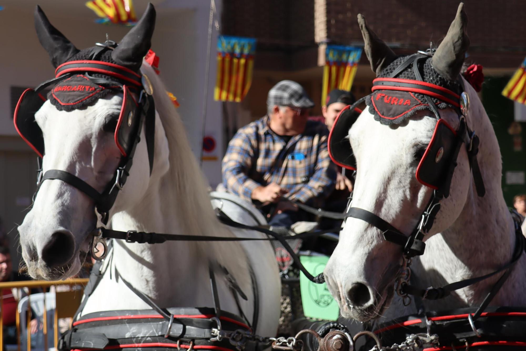 La otra cara del desfile de Sant Antoni de València