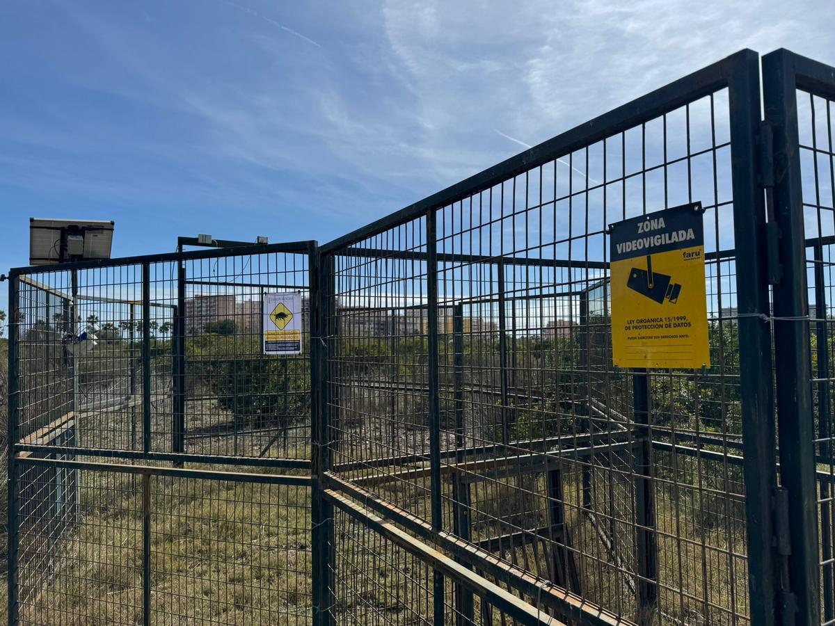 La primera de las jaulas ya se encuentra instalada en la zona próxima al santuario, un área donde en las últimas semanas se han registrado avistamientos continuos de jabalíes en los alrededores de la playa Verde y la playa de Les Amplàries.