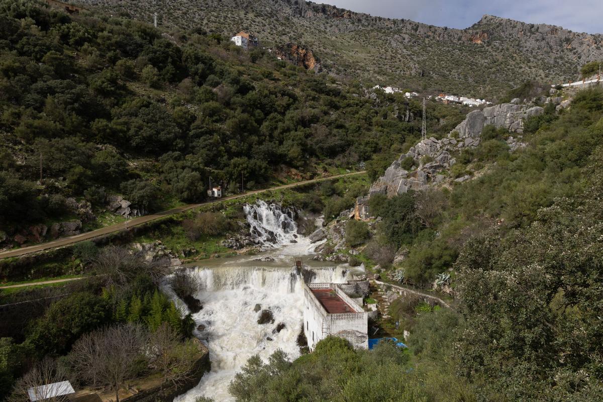 Bajada del torrente de agua del arroyo de Montejaque a su paso por la zona conocida como Cascajales, entre Benaoján y Estación de Benaoján