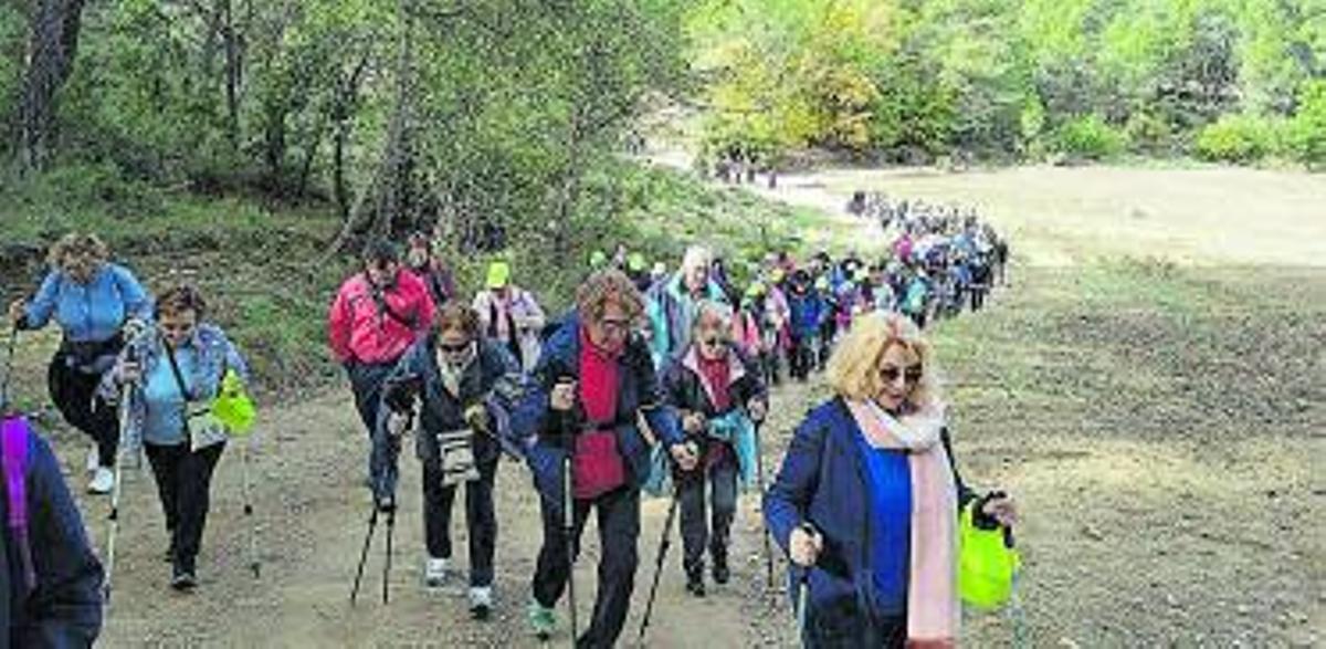 La primera Passejada de Marxa Nòrdica de la temporada ha fet camí per Vilanova del Camí  | AJ. VILANOVA DEL CAMÍ