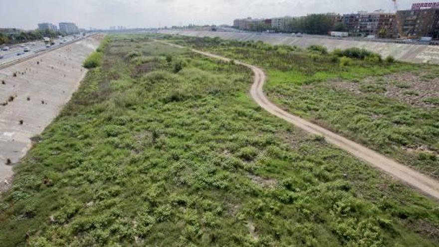 Tramo final del nuevo cauce del río Turia, donde se recuperaría el paso de agua.