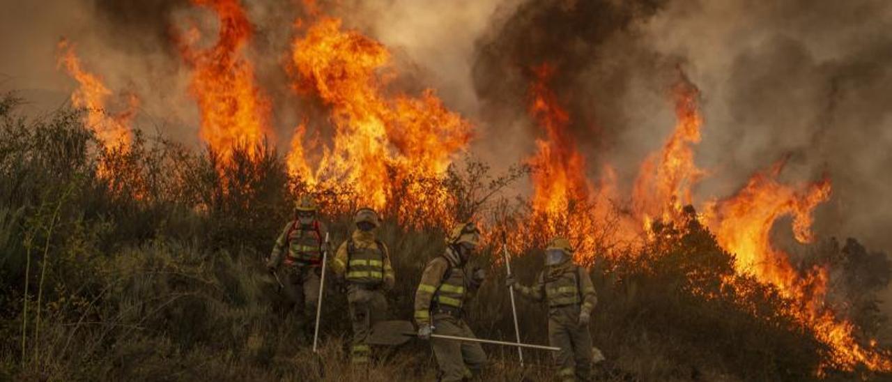 Trabajadores antiincendios combaten las llamas en Valdeorras el verano pasado. |   // BRAIS LORENZO