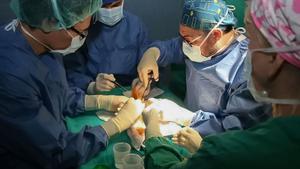 1.356 trasplantaments el 2025,  el segon millor any a Catalunya