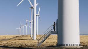 Un parque de energía eólica del Grupo Ibereólica.