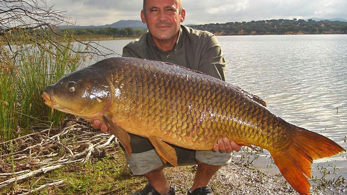 Extraen más de cuatro toneladas de carpa en El Hondo para preservar el humedal