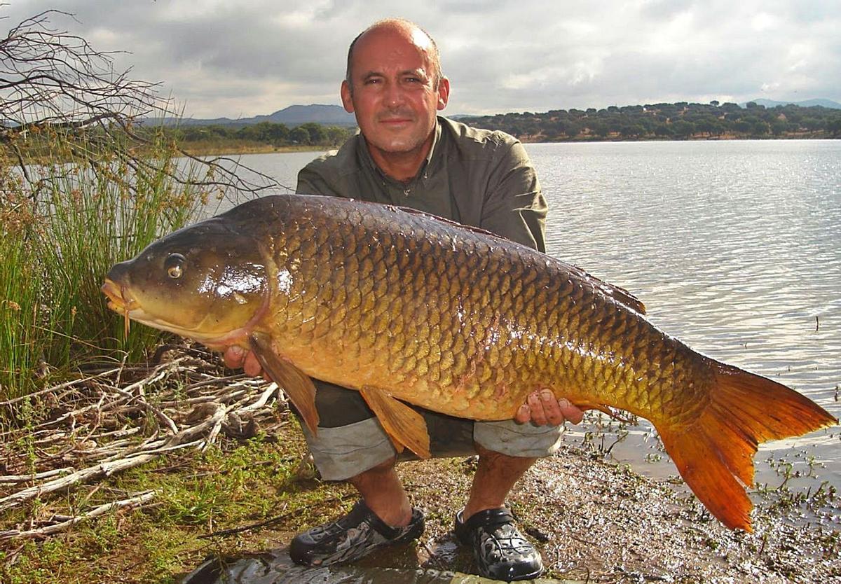 Extraen más de cuatro toneladas de carpa en El Hondo para preservar el humedal