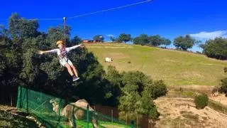 Día de campo en familia: este es el lugar donde observar camellos y emús a media hora de Sevilla