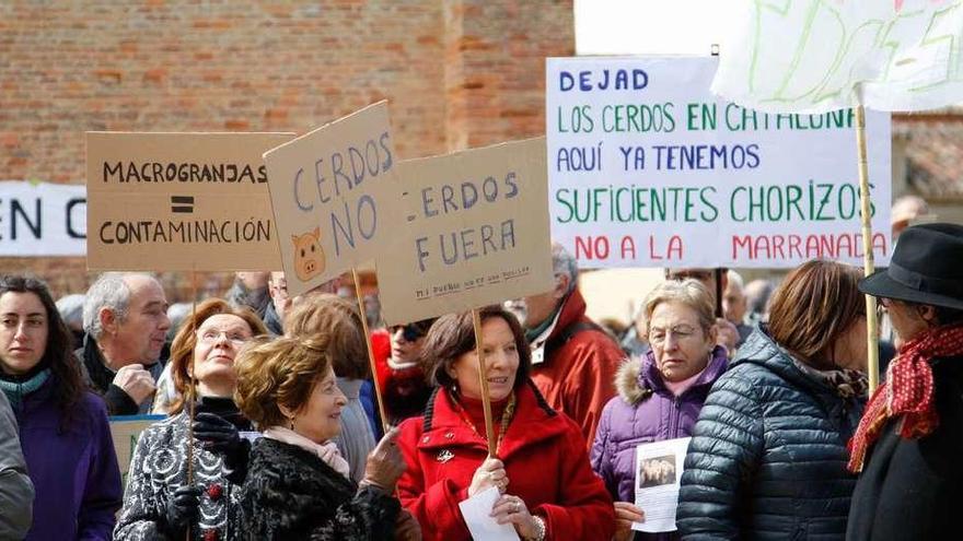 Las pancartas y los mensajes contra las grandes granjas de cerdos proliferaron en la concentración de ayer en Cerecinos de Campos.