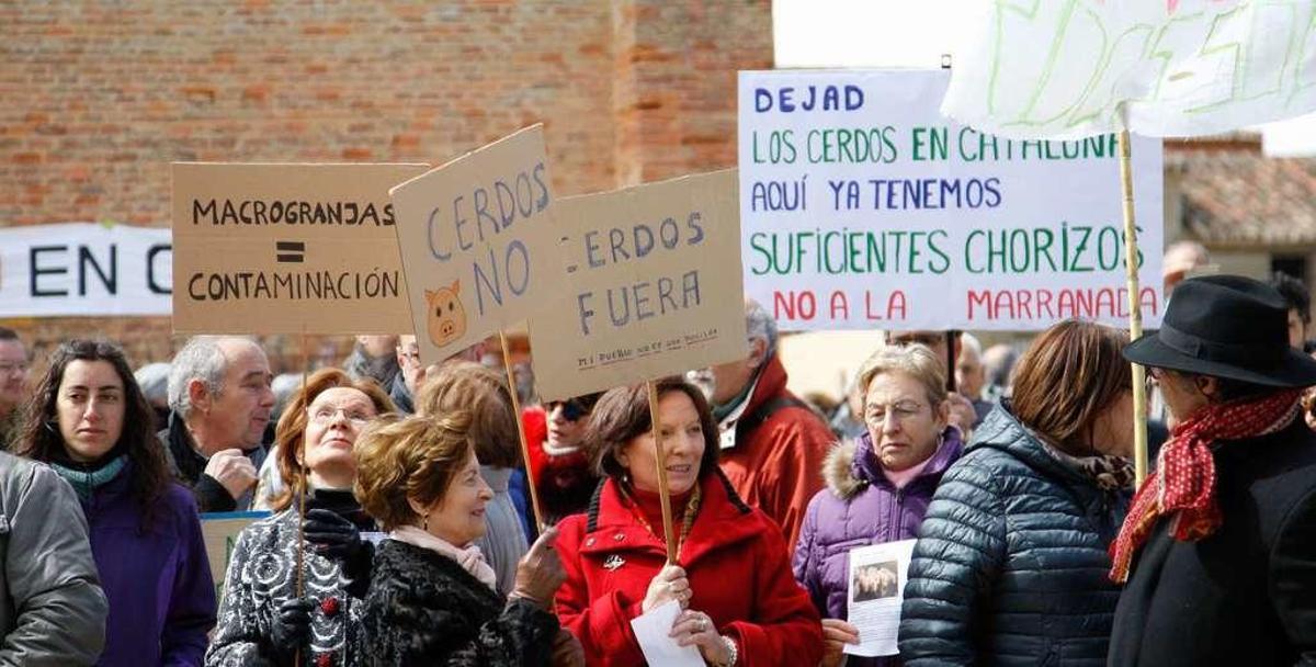 Las pancartas y los mensajes contra las grandes granjas de cerdos proliferaron en la concentración de ayer en Cerecinos de Campos.