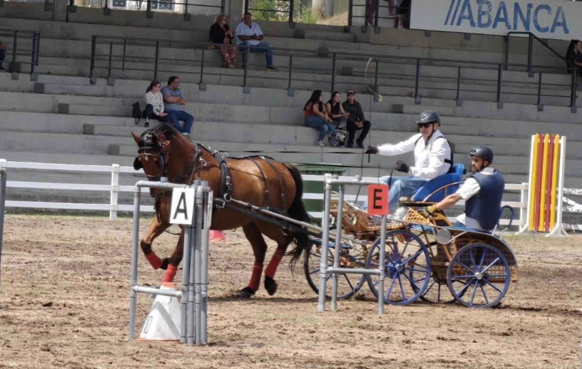 Participante en la prueba de Enganches de Equina 2026. |