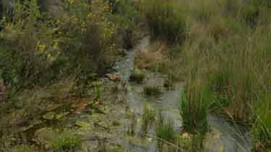 Salida de agua de uno de los depósitos de Ferreras de Abajo.