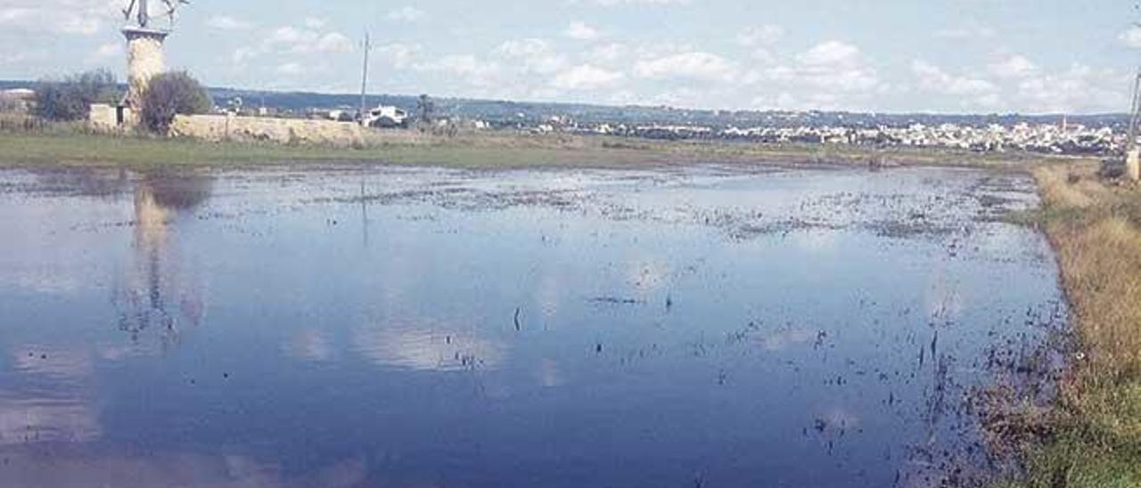 El nivel del acuÃ­fero del Pla de Sant Jordi ha subido debido a las menores extracciones para el riego, lo que favorece las inundaciones.