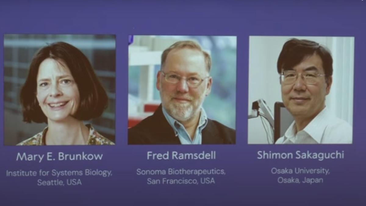 Los ganadores del Nobel de Medicina 2025.