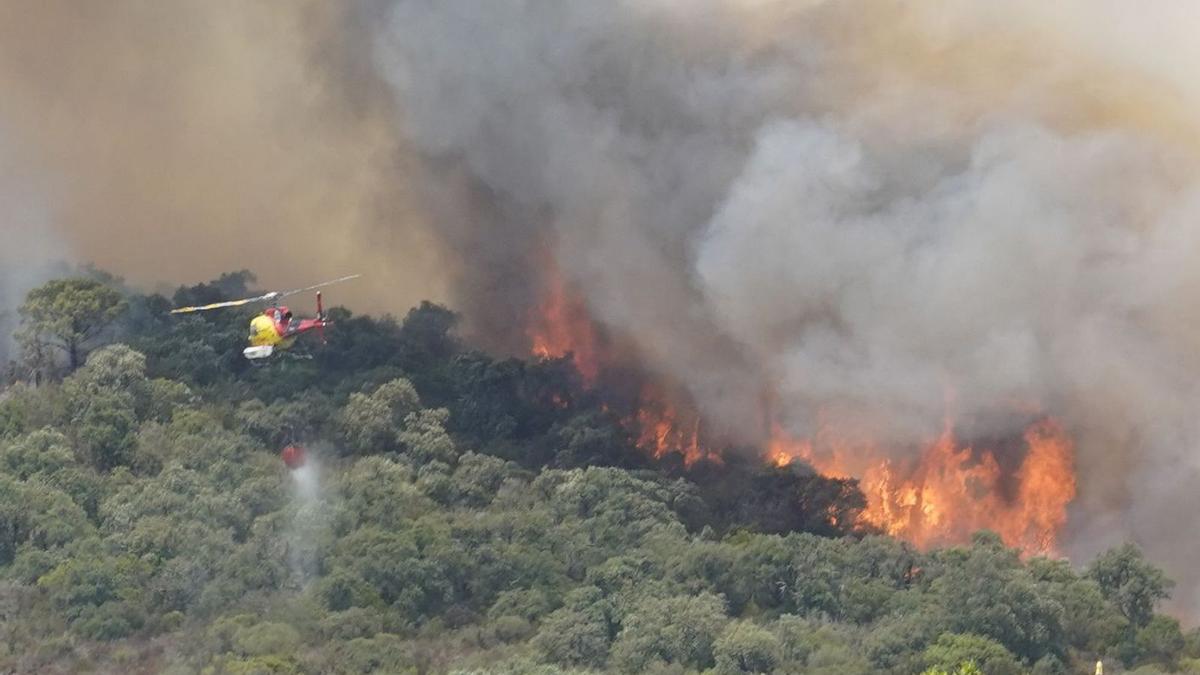 L’incendi a Castell d’Aro que va cremar 70 hectàrees a princpis de juliol.  | MARC MARTÍ