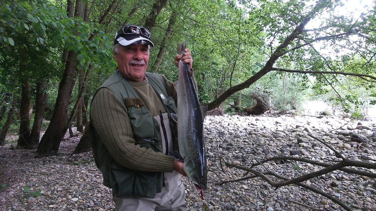 El cangués Carlos Menéndez muestra un salmón pescado en el Narcea en 2013.