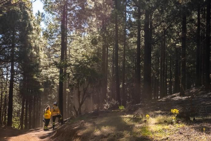 La UME realiza prácticas de prevención de incendios en Gran Canaria