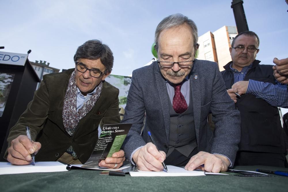 Oviedo apoya desde Gascona la candidatura sidrera ante la UNESCO