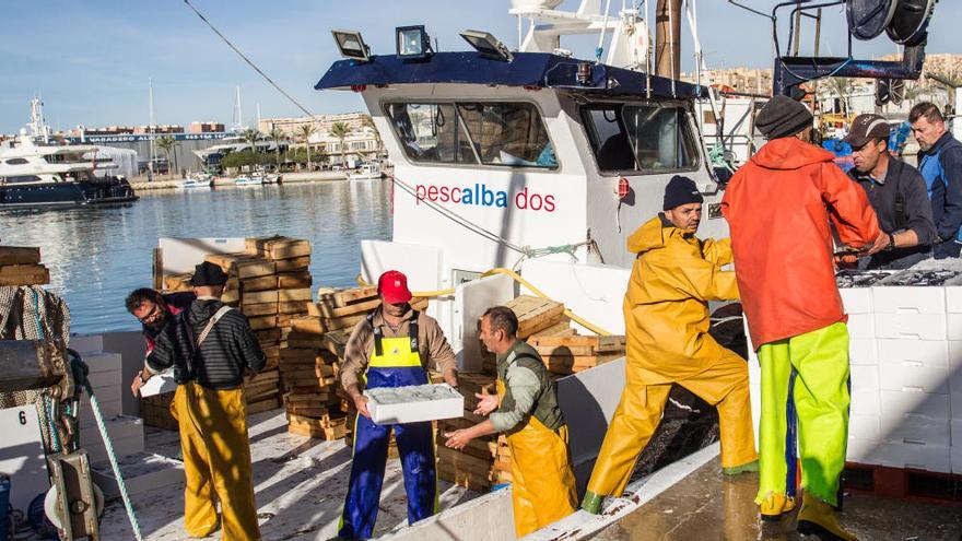 Frente común de Consell, Baleares y Canarias para regular la pesca de arrastre