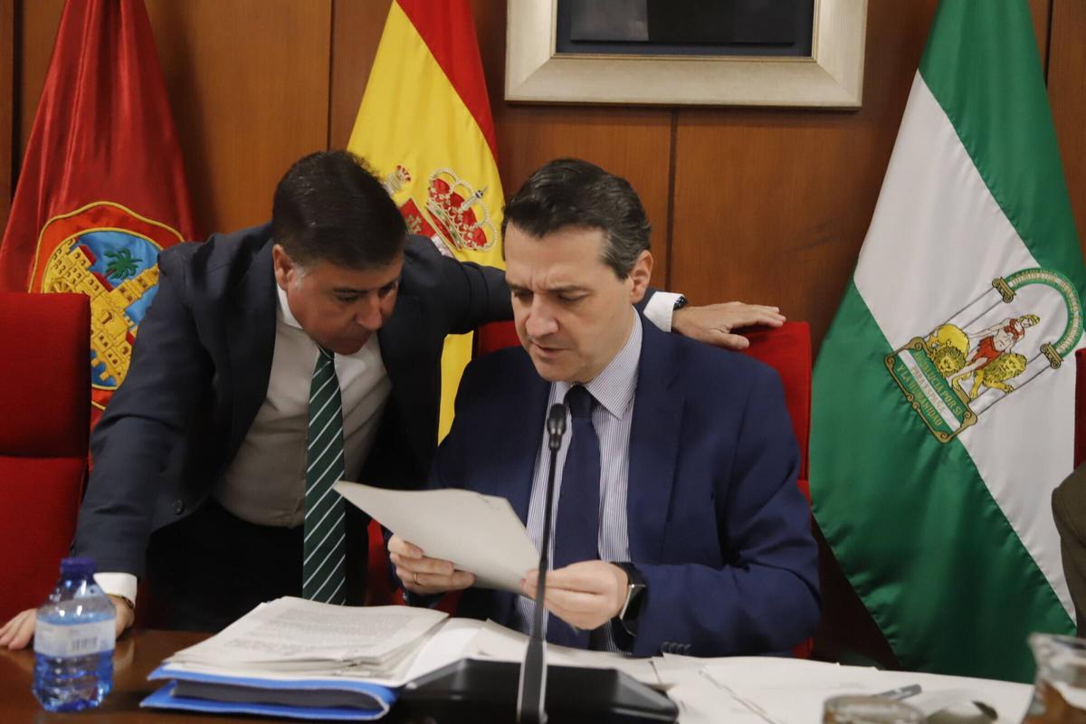 A.J.González Córdoba Pleno Ayuntamiento