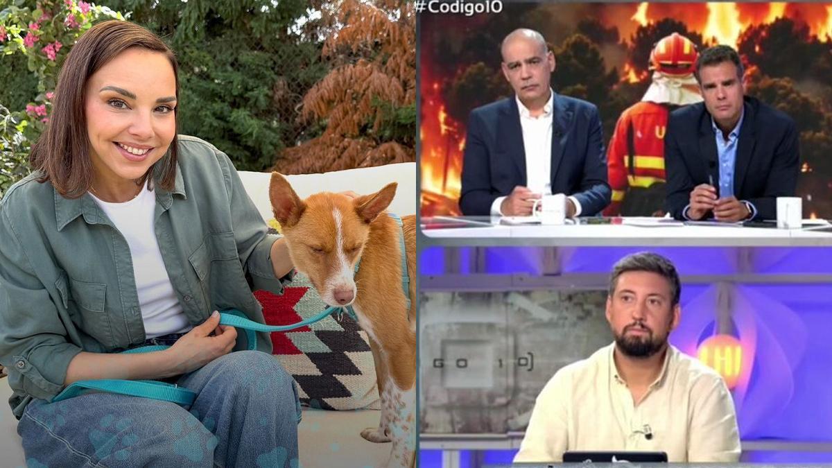 'Dog House' y 'Código 10'