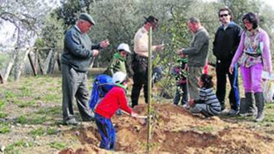 Reforestación infantil