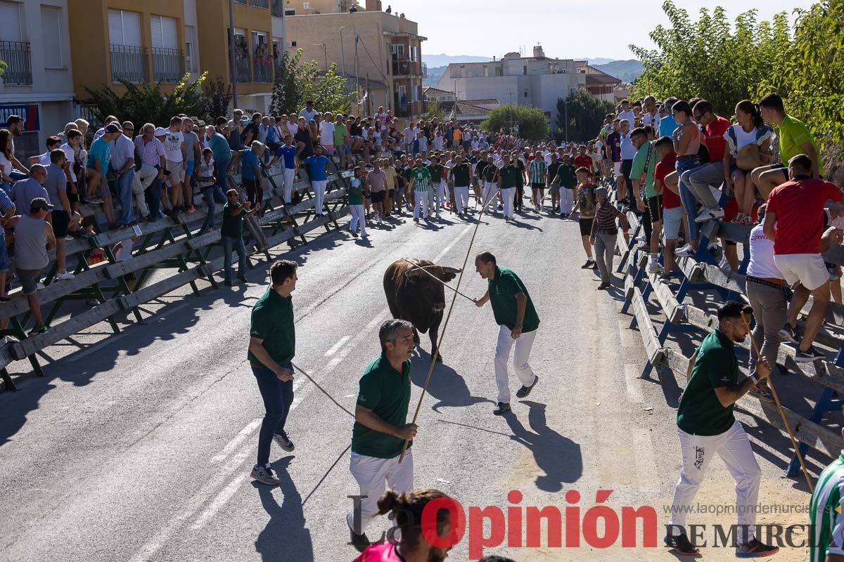 Quinto encierro de la Feria del Arroz de Calasparra