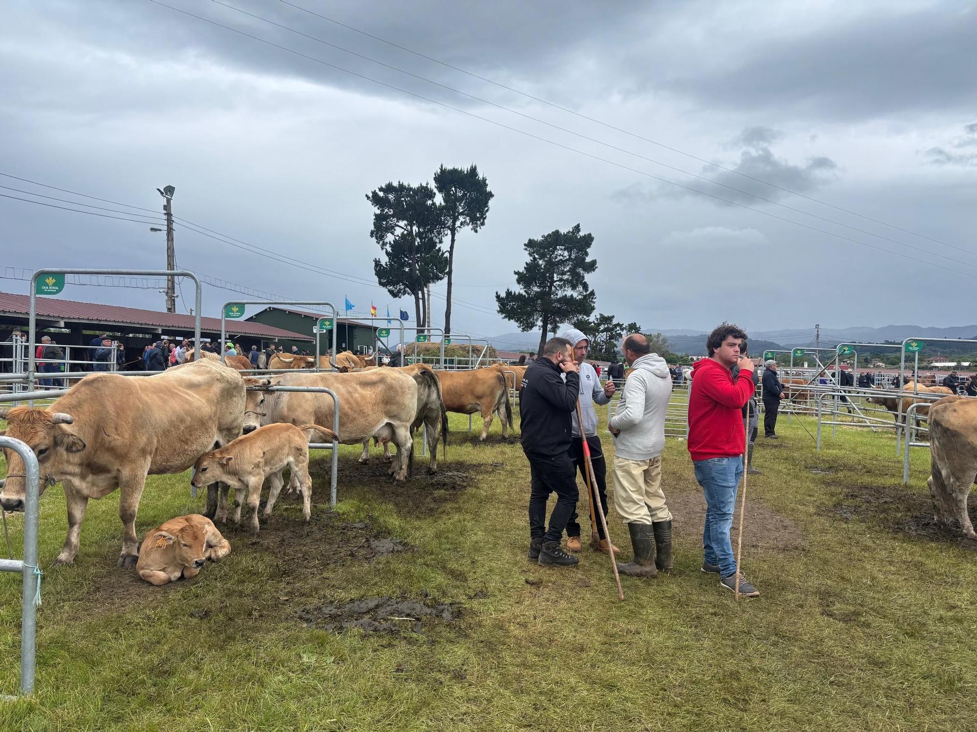EN IMÁGENES: El domingo de San Isidro en Llanera
