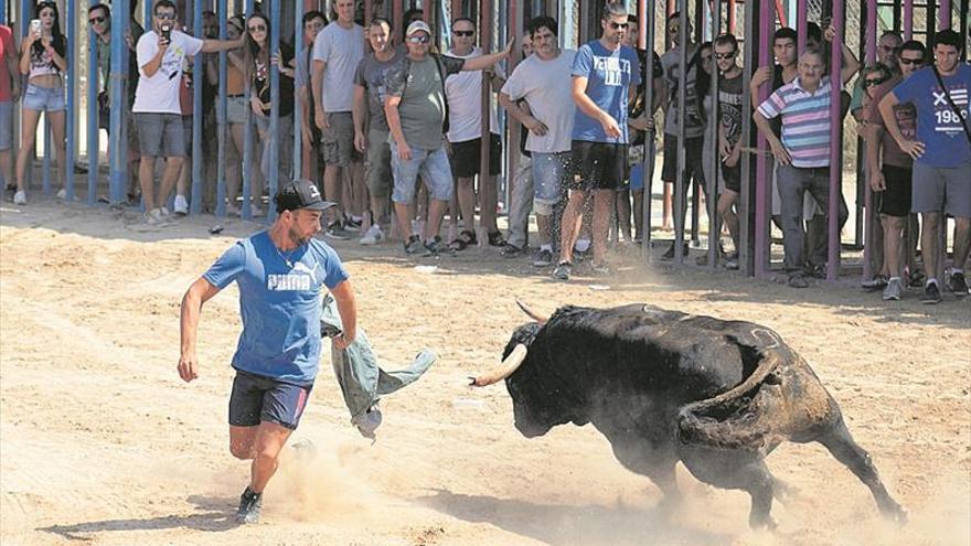 La Setmana Taurina es una de las grandes novedades del año