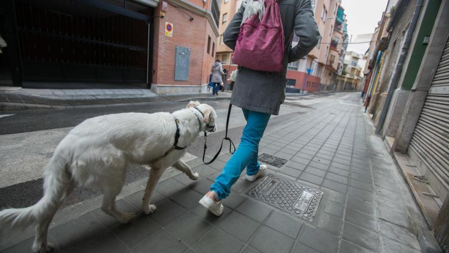 Una ilicitana recaba 78.000 firmas para que los perros grandes puedan viajar en el tren