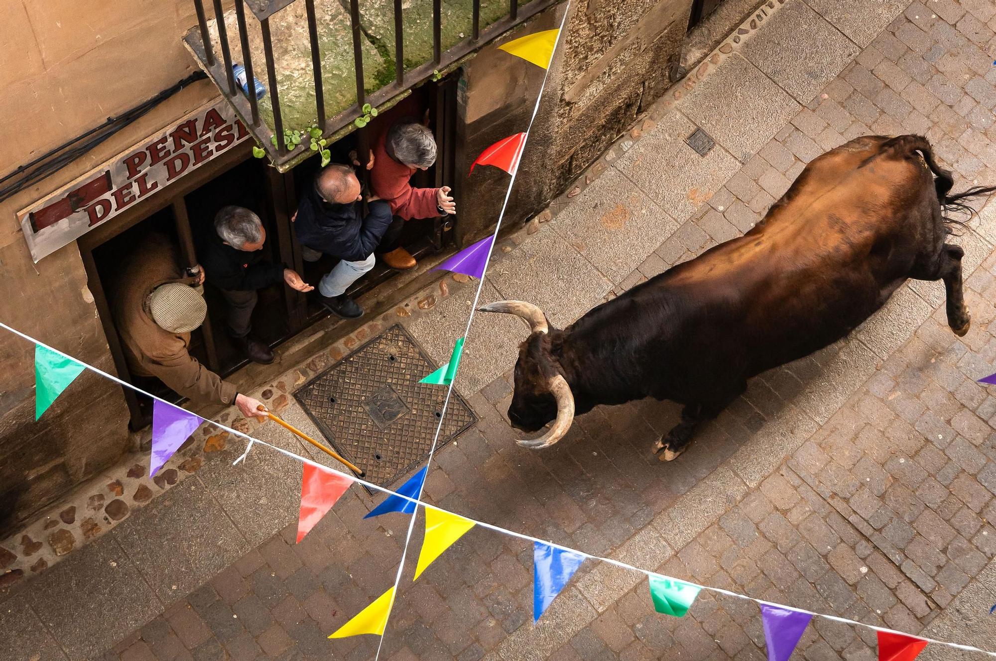 GALERÍA: El martes de Carnaval del Toro en Ciudad Rodrigo se salda con siete intervenciones sanitarias