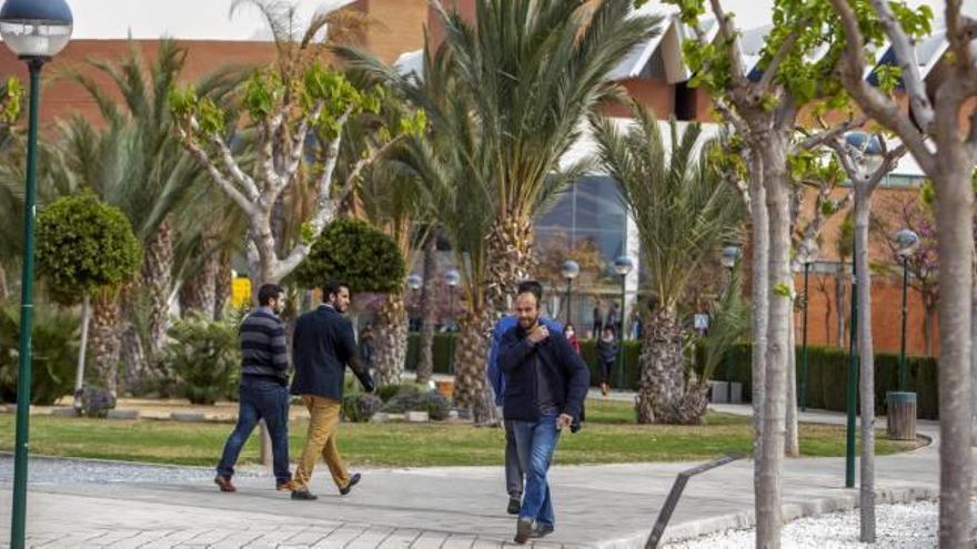 Alumnos en el campus de Elche de la Universidad Miguel Hernández.