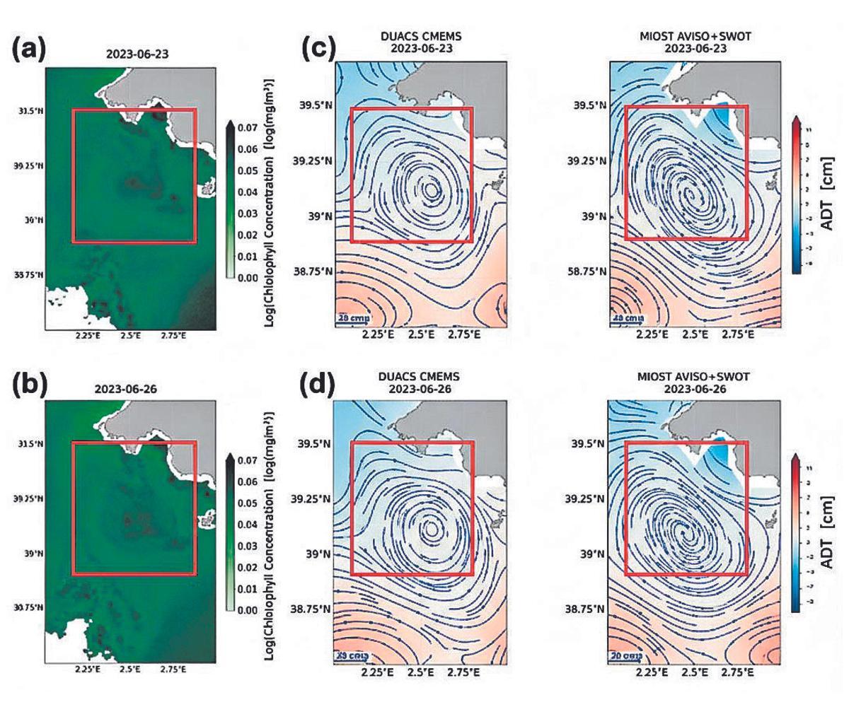 Concentraciones de clorofila observadas con el satélite. Fuente: “Coastal Eddy Detection in the Balearic Sea: SWOT Capabilities”, publicado en la revista Remote Sensing.