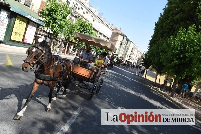 Ruta a caballo desde la ciudad al corazón de la hu