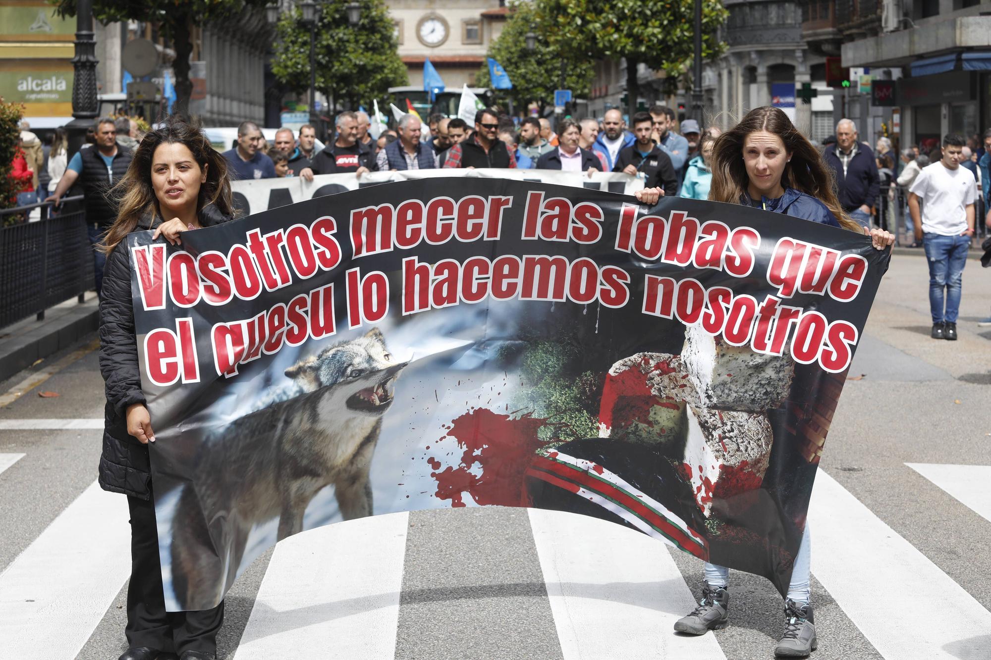 EN IMÁGENES: Así fue la tractorada de protesta del campo asturiano en Oviedo