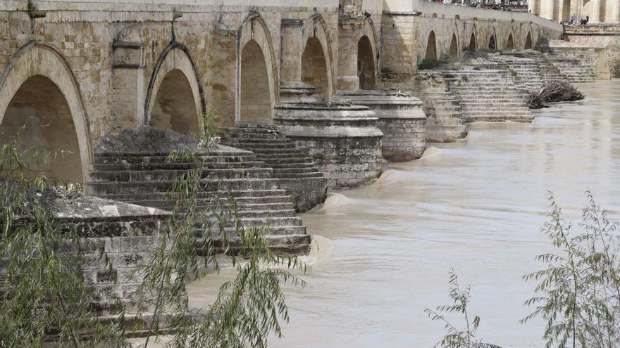 Imagen del río Guadalquivir a su paso por Córdoba, ayer miércoles.