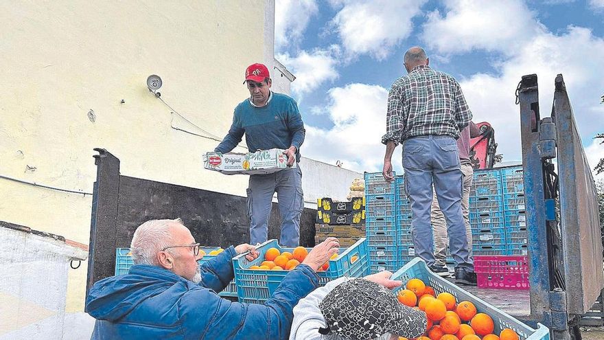 El Gobierno ayuda con seis millones a los agricultores por la guerra de Ucrania