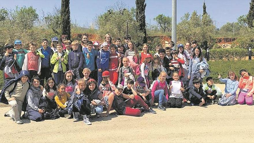 Escolars amb més formació ambiental