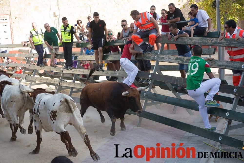 Tercer encierro en Calasparra