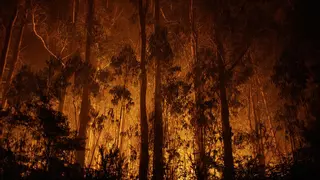 Incendio forestal en As Neves (Pontevedra)