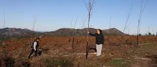 O Galiñeiro planta cara al fuego con setas y castañas