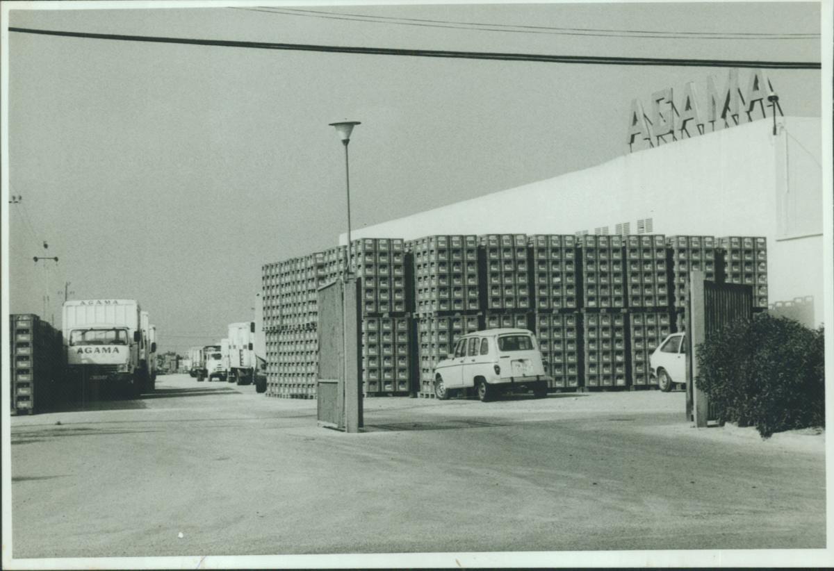 FOTOS | La historia de Agama, en imágenes