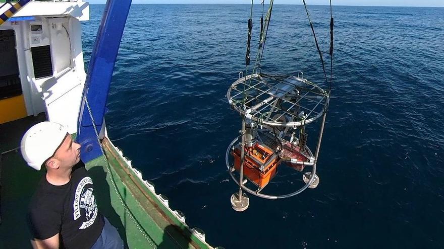 La joya de las profundidades marinas de Avilés opta a un nuevo reconocimiento (y esto es lo que conllevará)