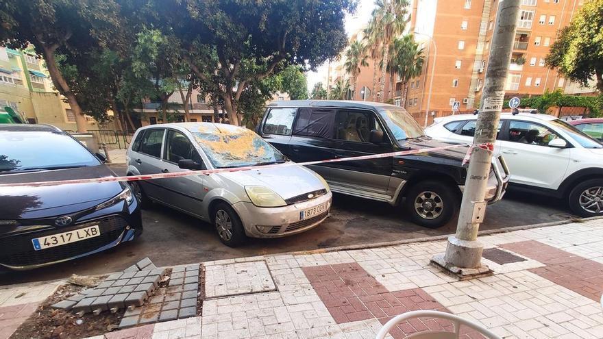 La caída de un árbol en Torremolinos reabre la polémica sobre el estado del arbolado
