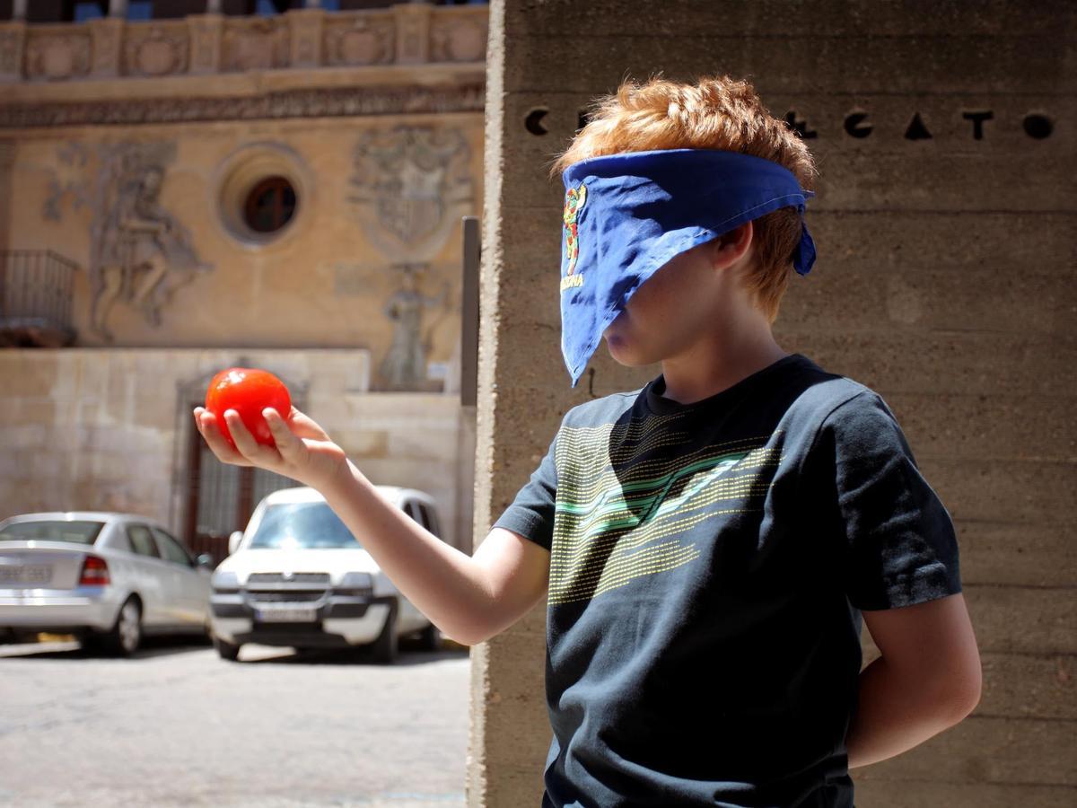 Tarazona y Moncayo, Planes con niños