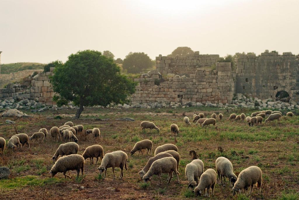 Patara, Turquía