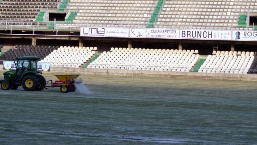 Las mejoras del césped de Castalia finalizan este jueves