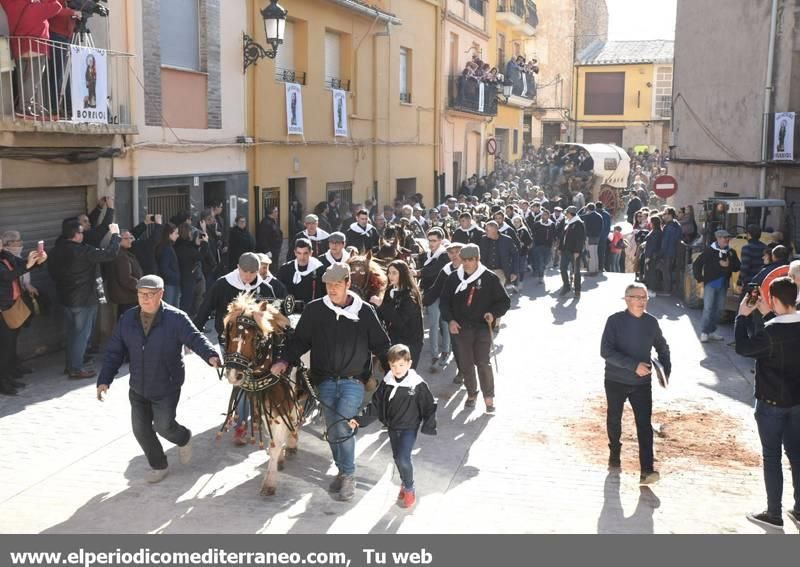 Sant Antoni en la provincia de Castellón