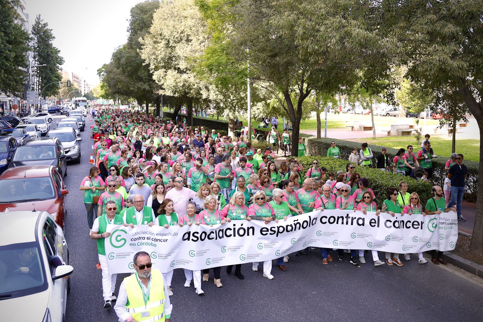 Marea verde contra el cáncer de mama
