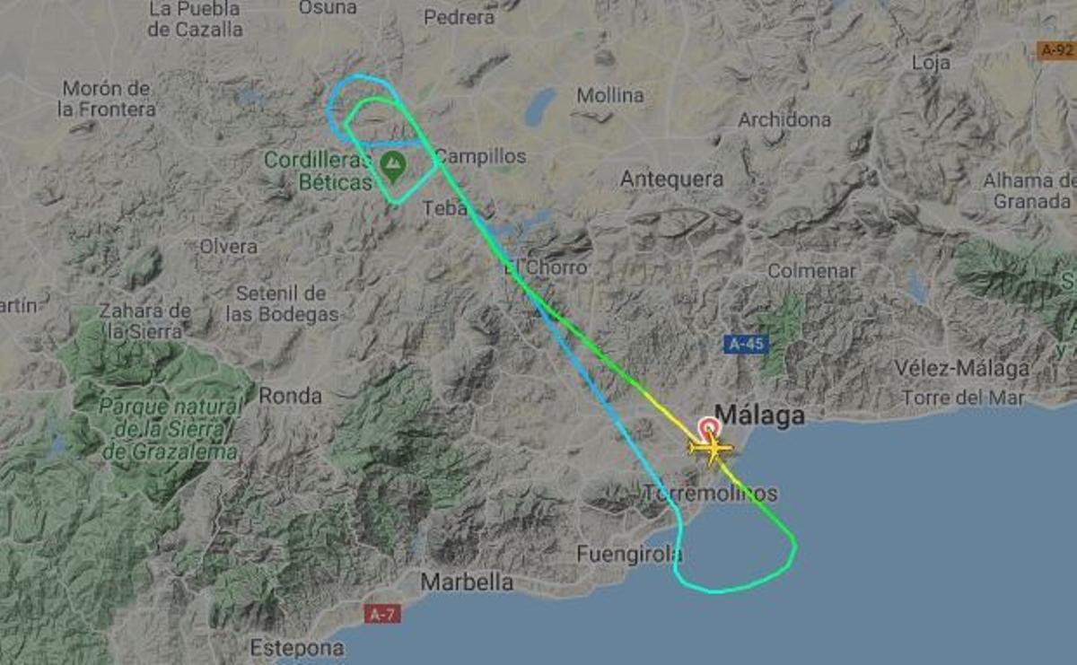 Un avión regresa a Málaga tras detectar problemas en el tren de aterrizaje