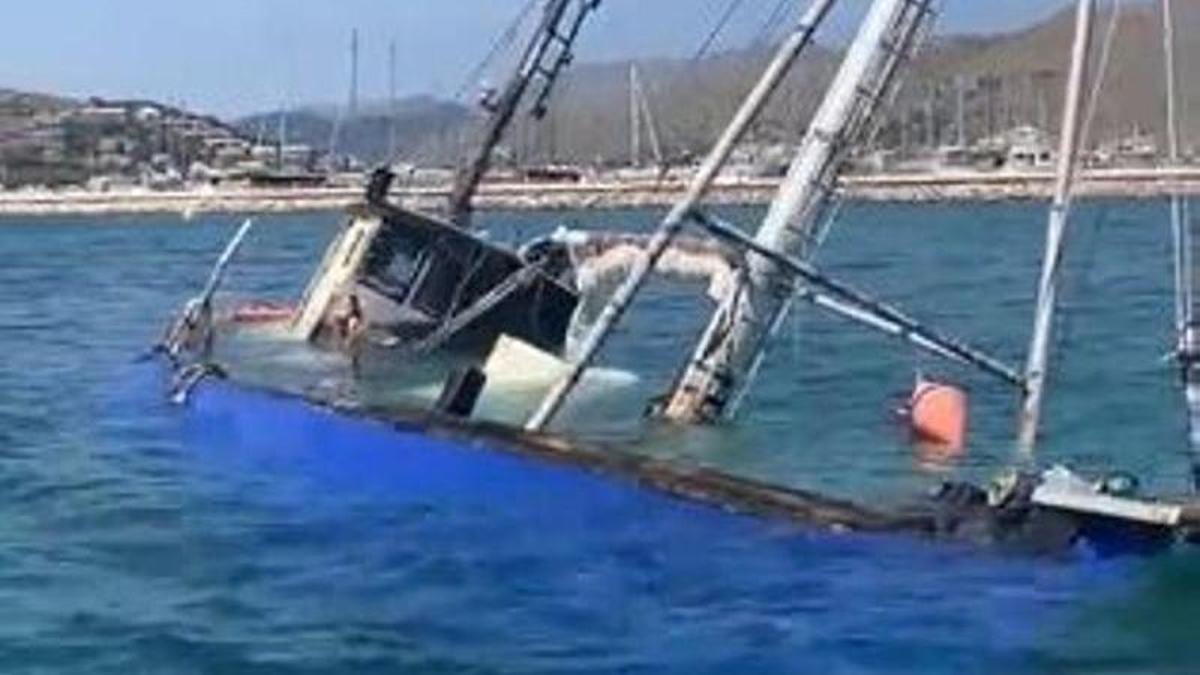 Captura del video difundido por Arrels Marines en las últimas horas.